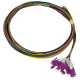 Pigtaile MM 12xLC/UPC 50/125, OM4, 12x2m